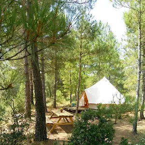https://forest-days.catalonia-hotels.com